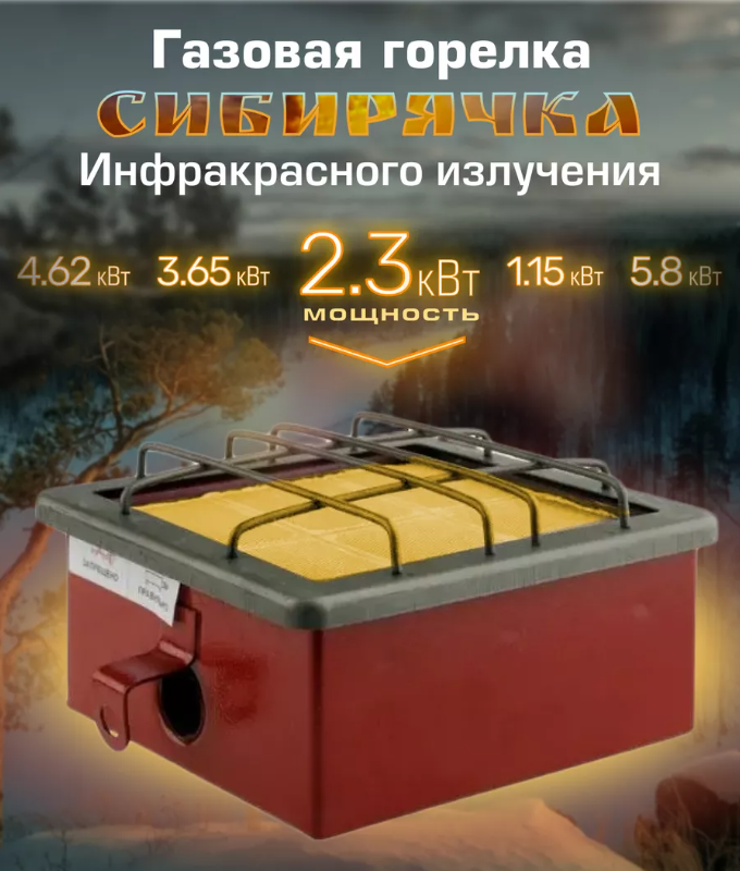 Сибирячка ГИИ-2,3 1 Сибирячка ГИИ-2,3 1